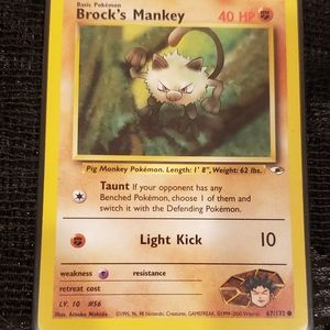 Brock's Mankey
